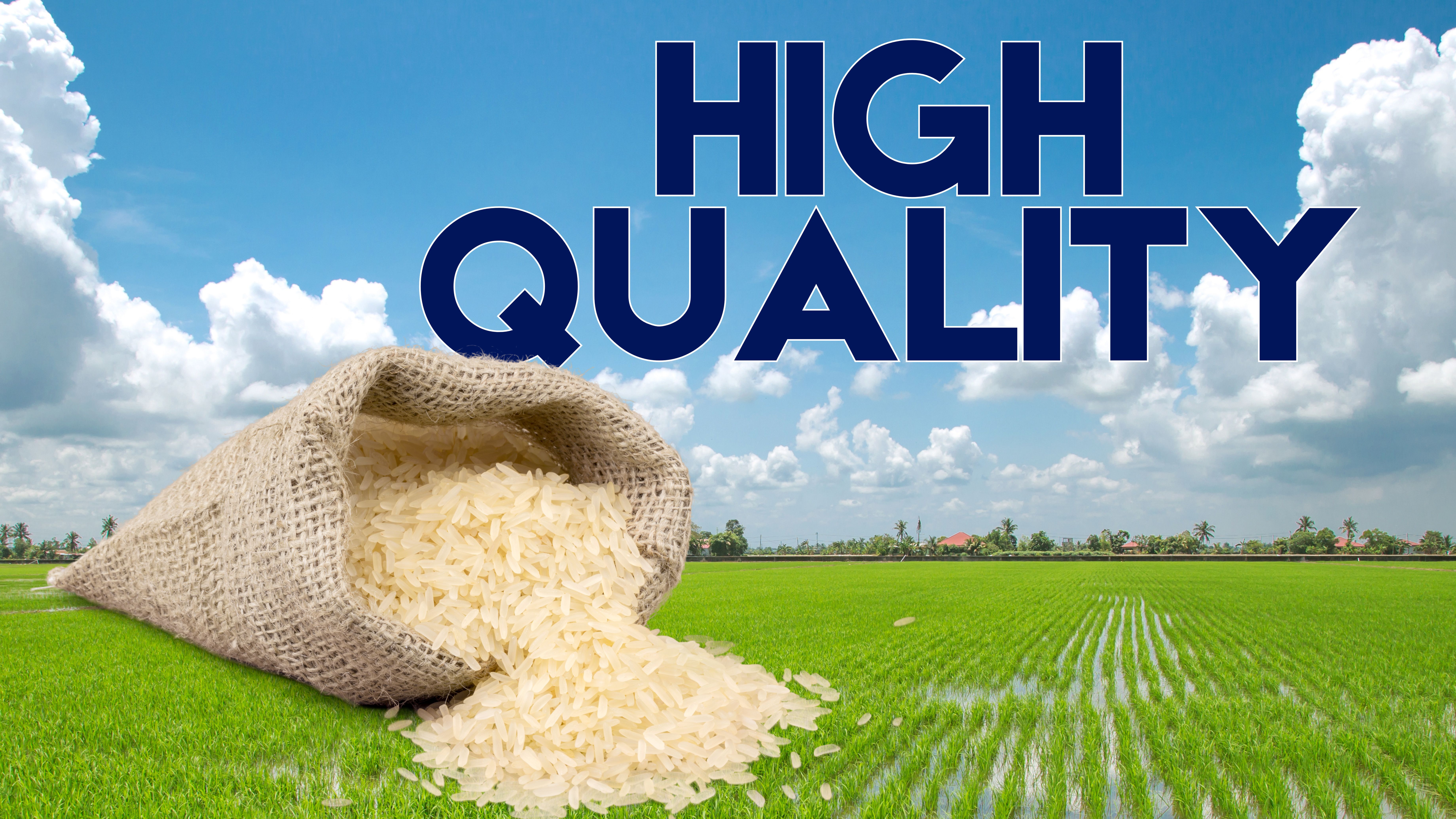 Harvested Rice